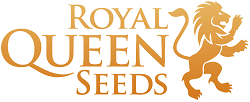 Royal Queen Seeds