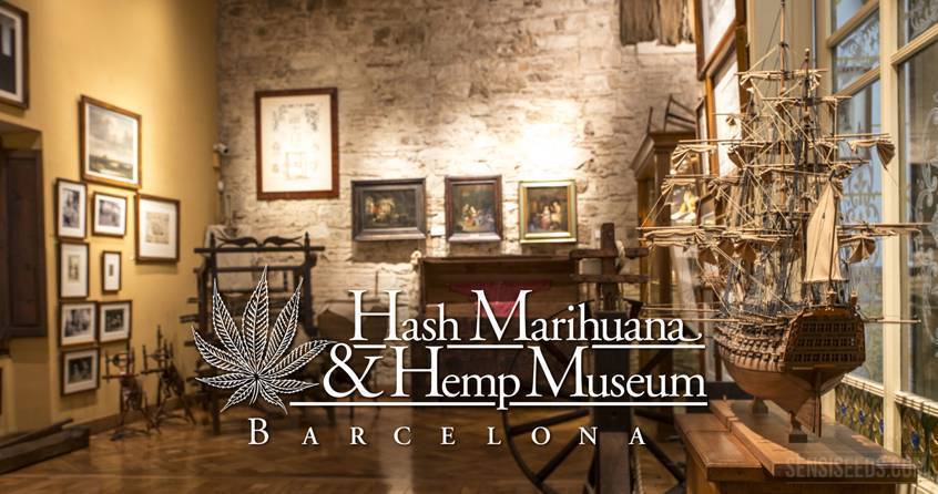 Museo del Cannabis de Barcelona