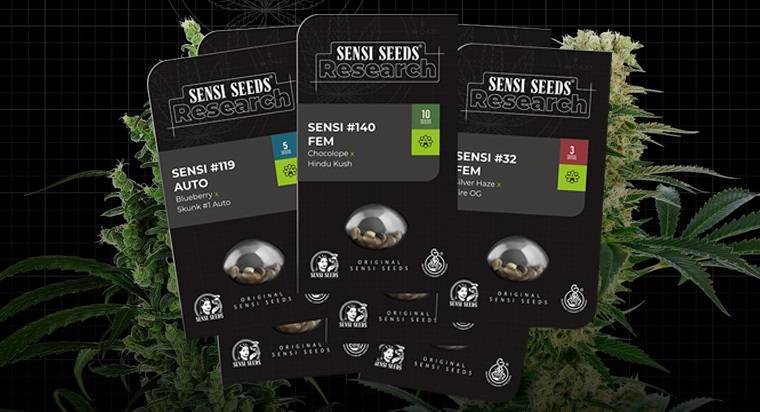 Research Serie Sensi Seeds