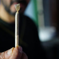 Cannabis - Cómo funciona el efecto de su consumo