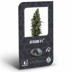 Afghani #1 Feminizadas (auto) (Classic Redux Serie)