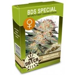 BDS Special Feminizadas