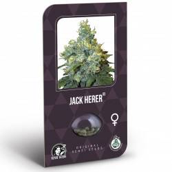 Jack Herer Feminizadas (Classic Redux Serie)