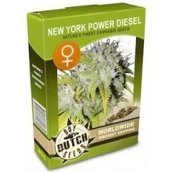 New York Power Diesel Feminizadas