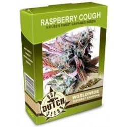 Raspberry Cough