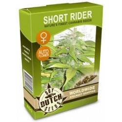 Short Rider Feminizadas Autoflowering