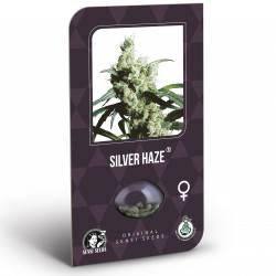 Silver Haze Feminizadas (Classic Redux Serie)