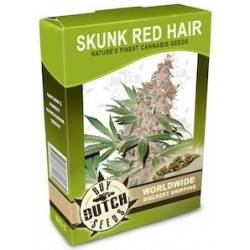 Skunk Red Hair