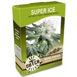 Super Ice