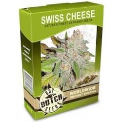 Swiss Cheese